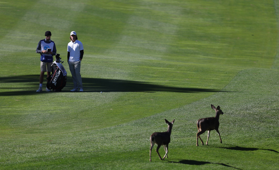 golfklúbbar